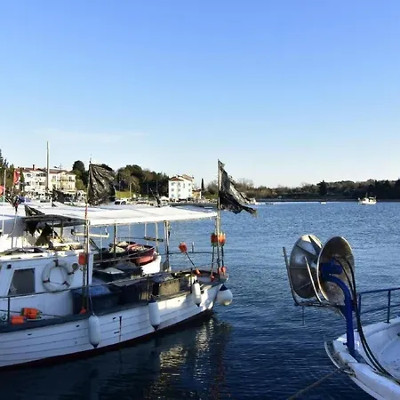 Apartment Toni By Interhome *