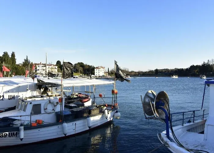 Apartment Toni By Interhome *