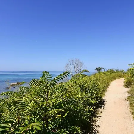 Lägenhet Toni By Interhome