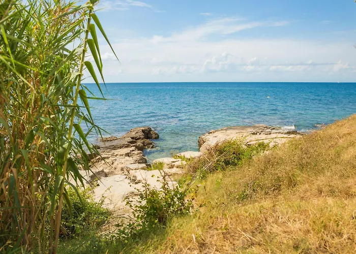 아파트 Toni By Interhome 사부드리자